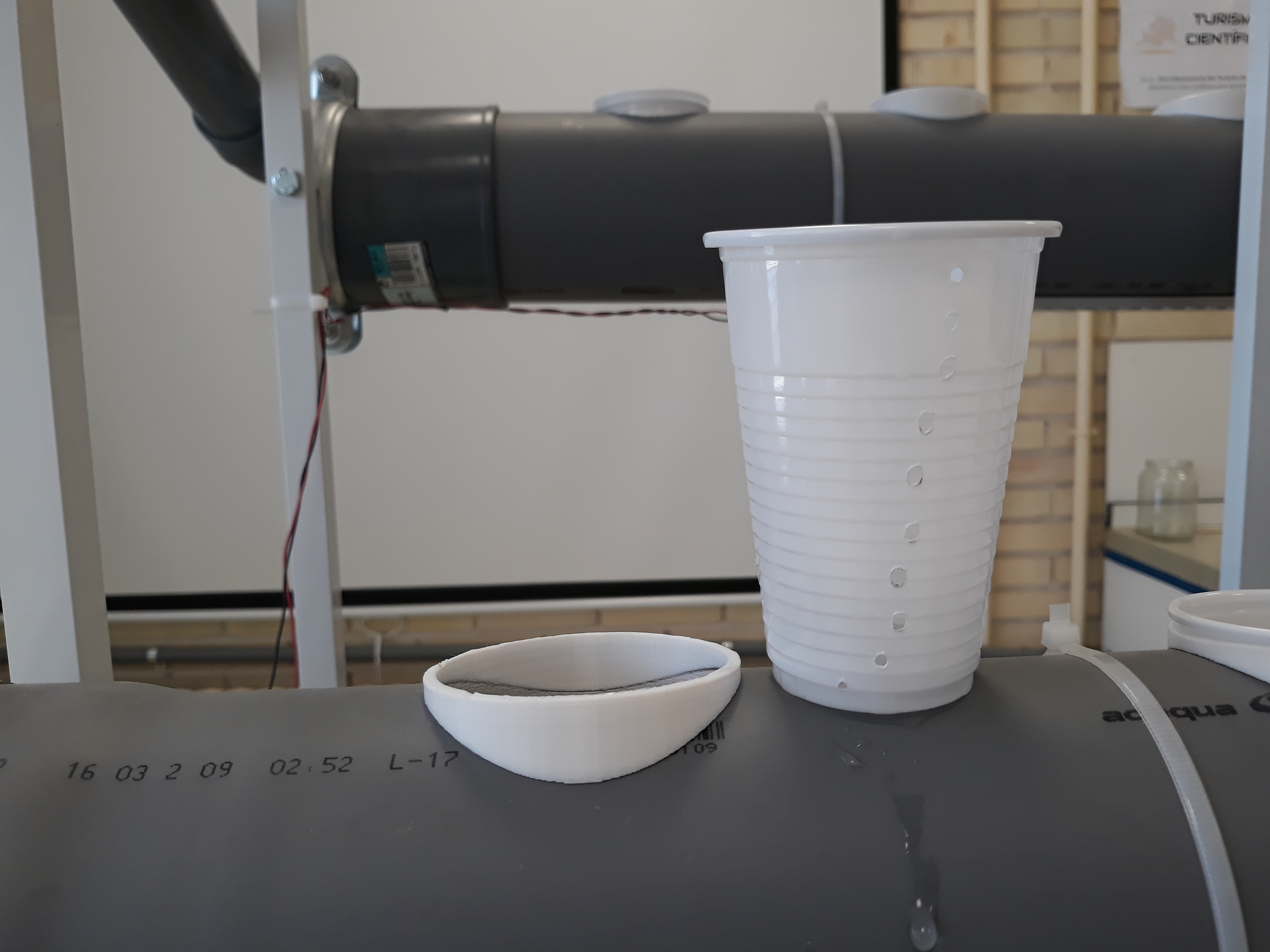 20180525 JdL Hidropónico 116.jpg